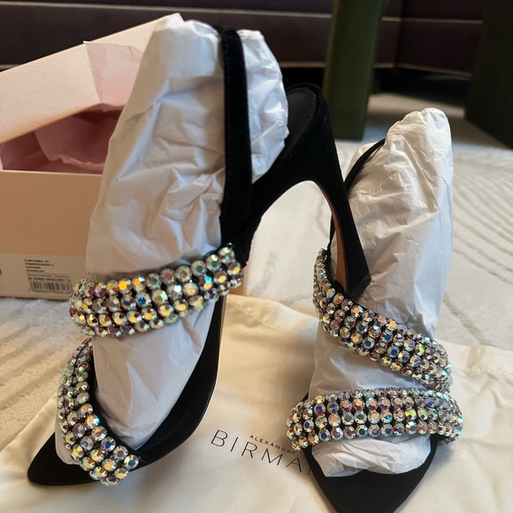 Alexandre Birman 39 Alanis Embellished Suede Slingback Sandals - Picture 3 of 15